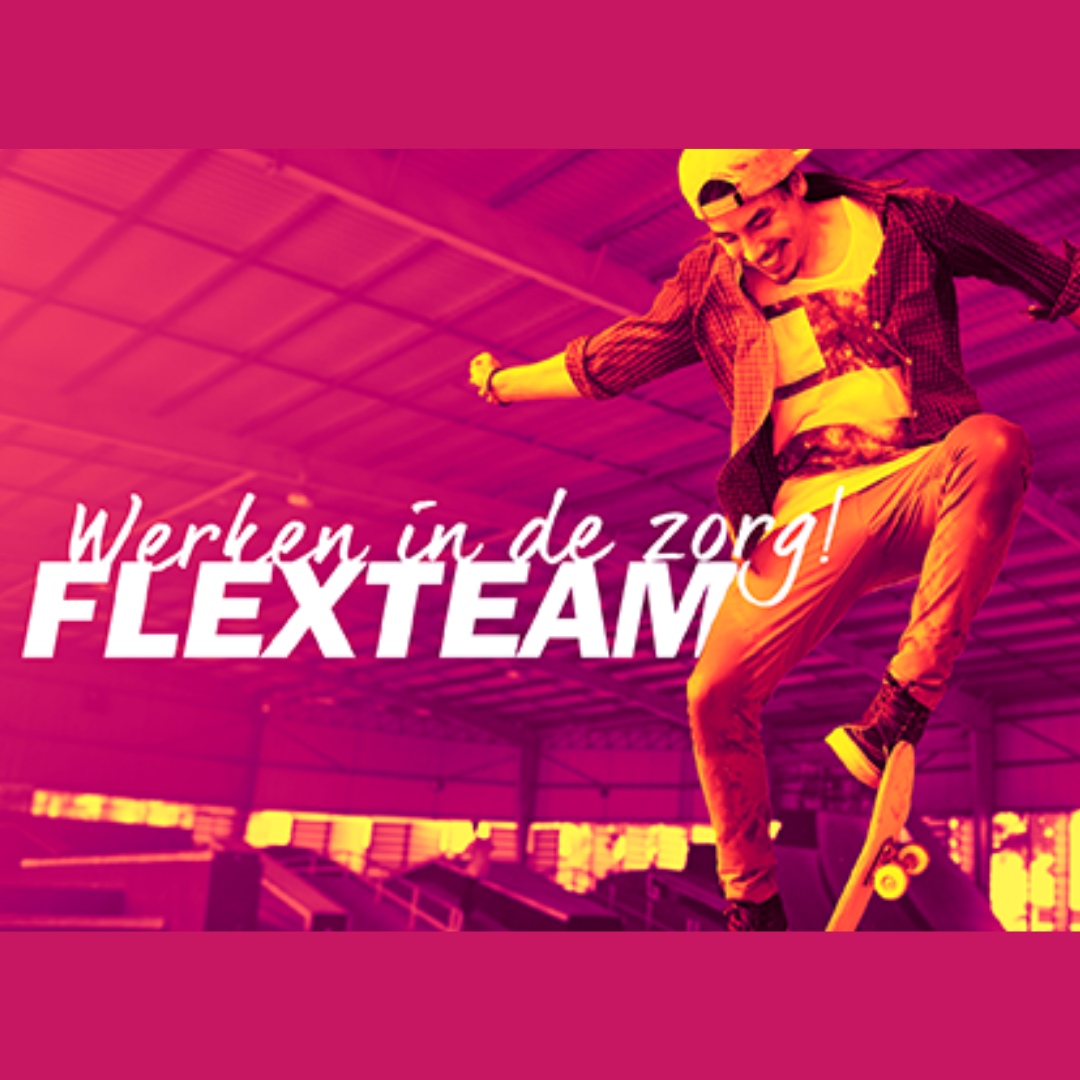 Flexteam Silverein Skater