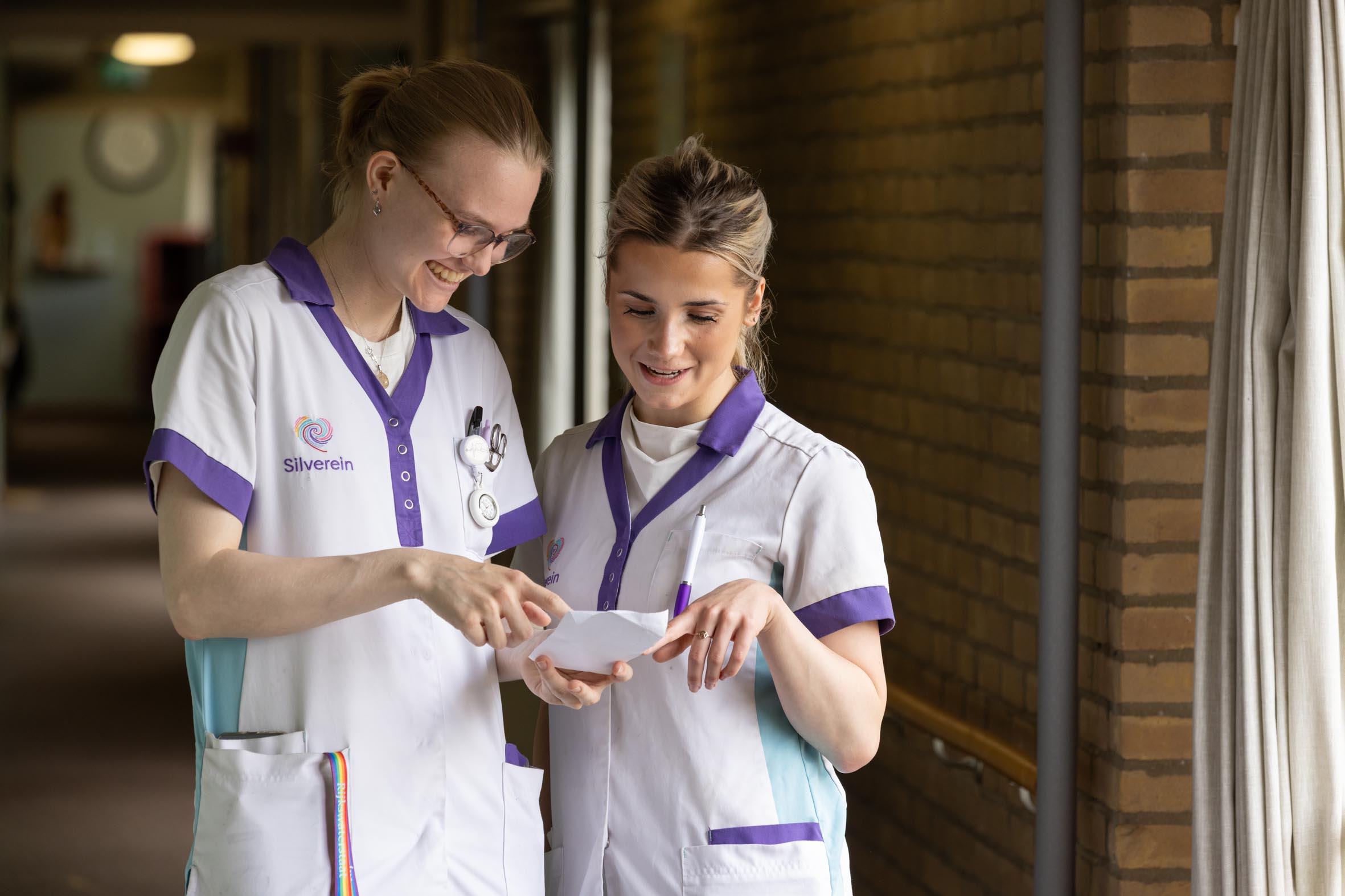 Leerhuis Silverein 3